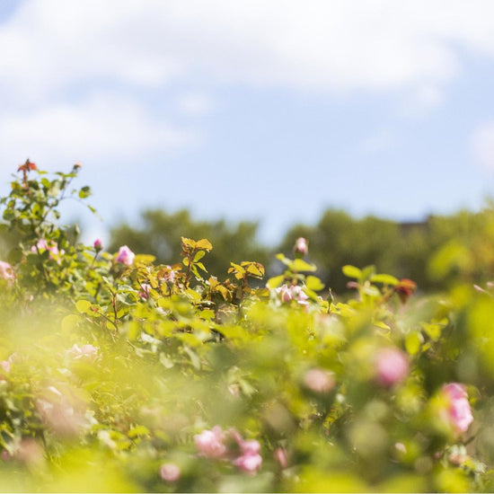 Natural Biodynamic* Australian Made Products
